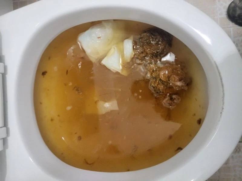일산 변기막힘 작업사례 3