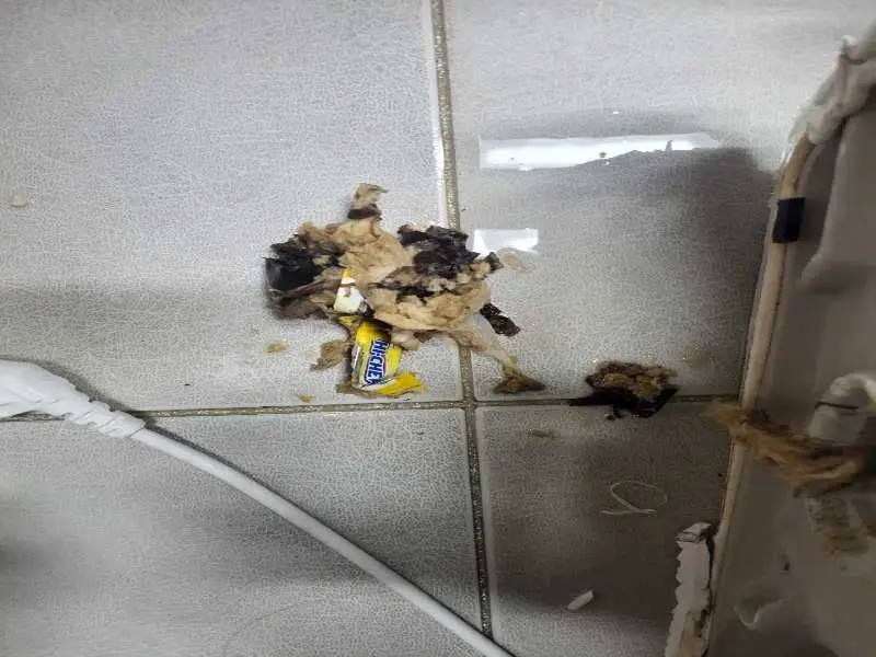 일산 배관 이물질 제거 사례 5